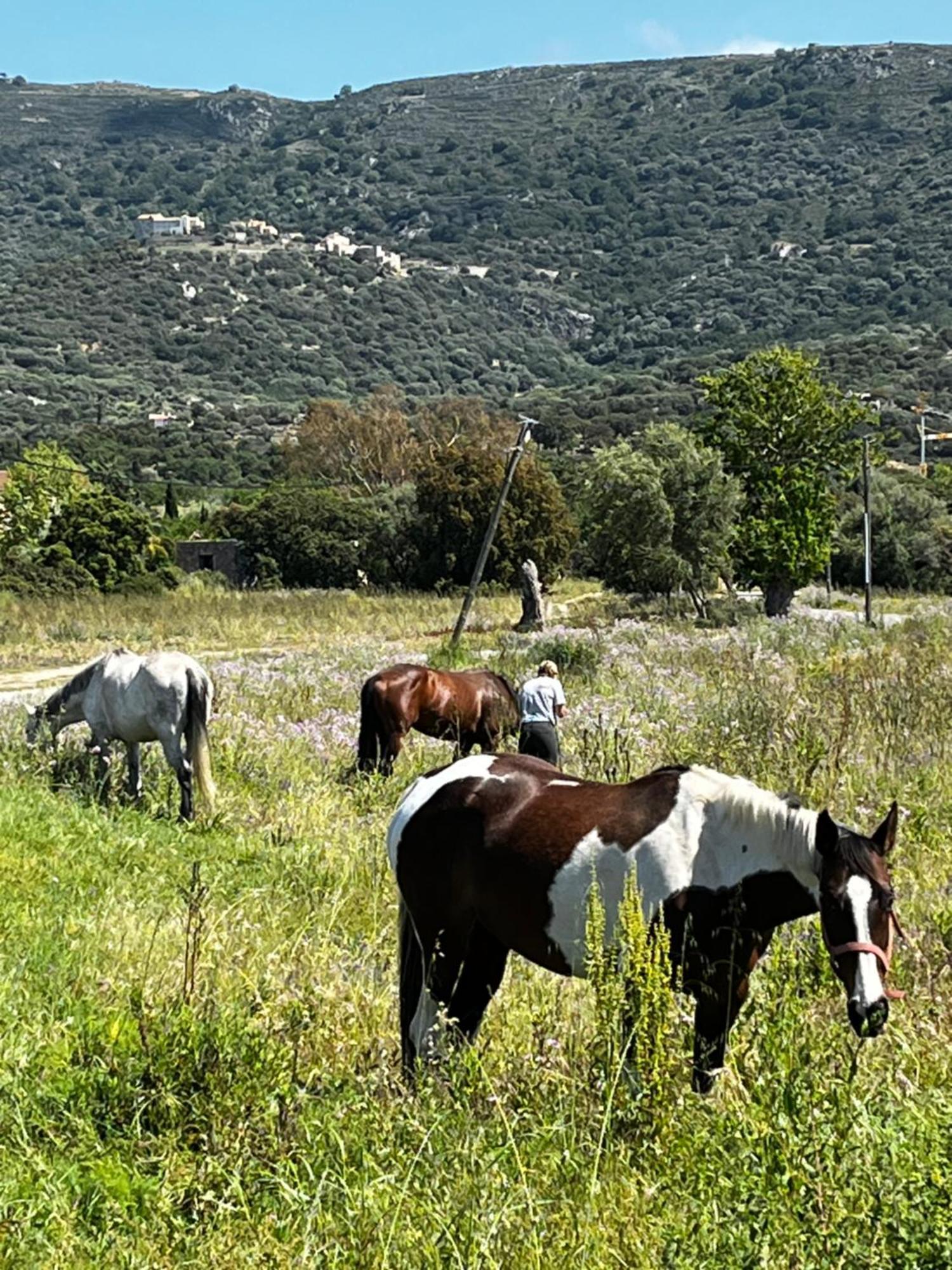 Hotel Location Du Ranch Algajola  Exteriér fotografie