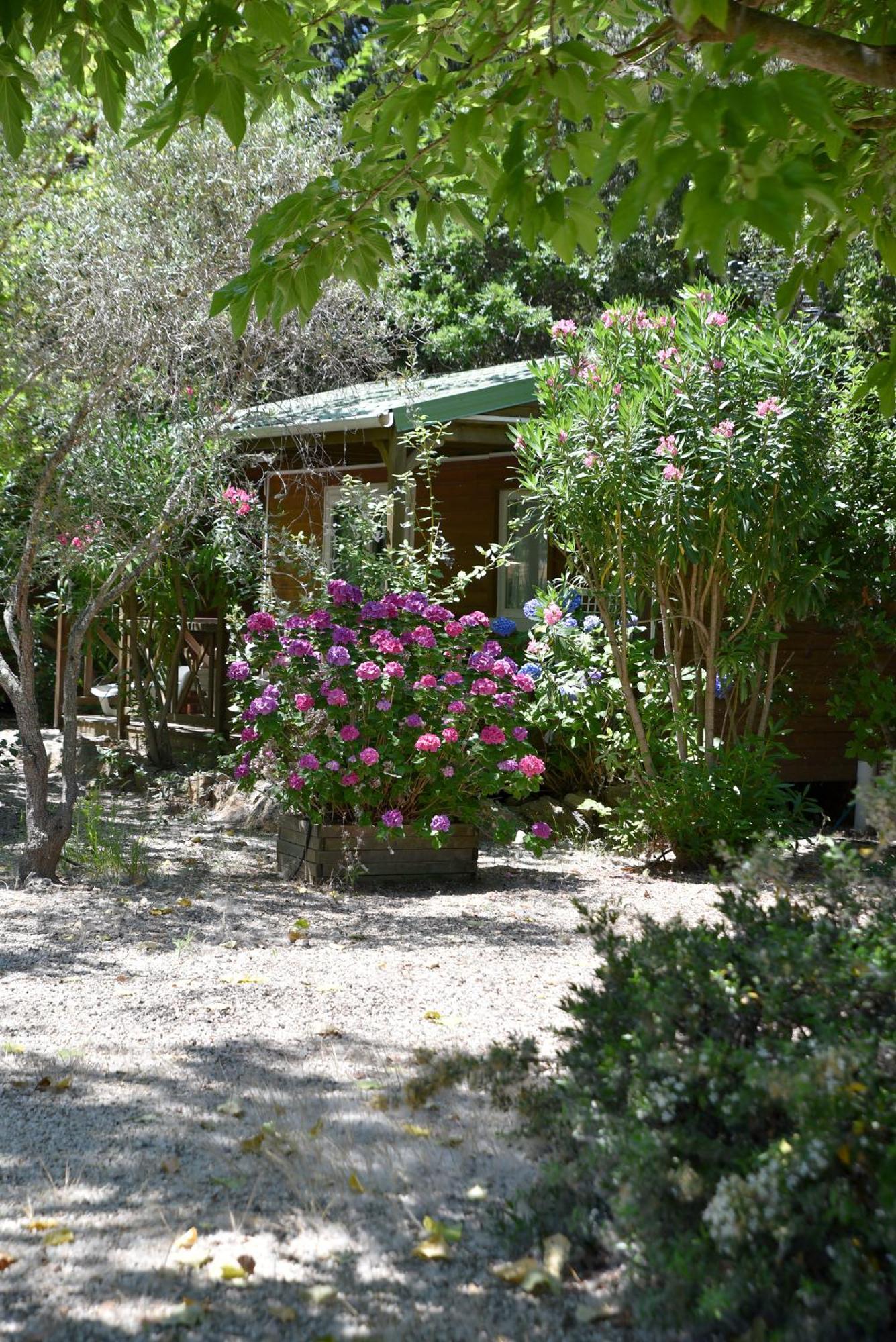 Hotel Location Du Ranch Algajola  Exteriér fotografie